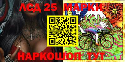 мяу мяу мука Краснознаменск