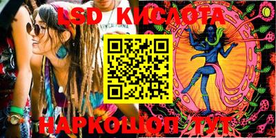 мяу мяу мука Краснознаменск