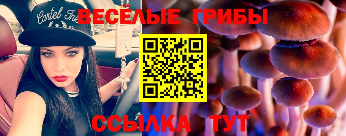 Галлюциногенные грибы мухоморы Киров