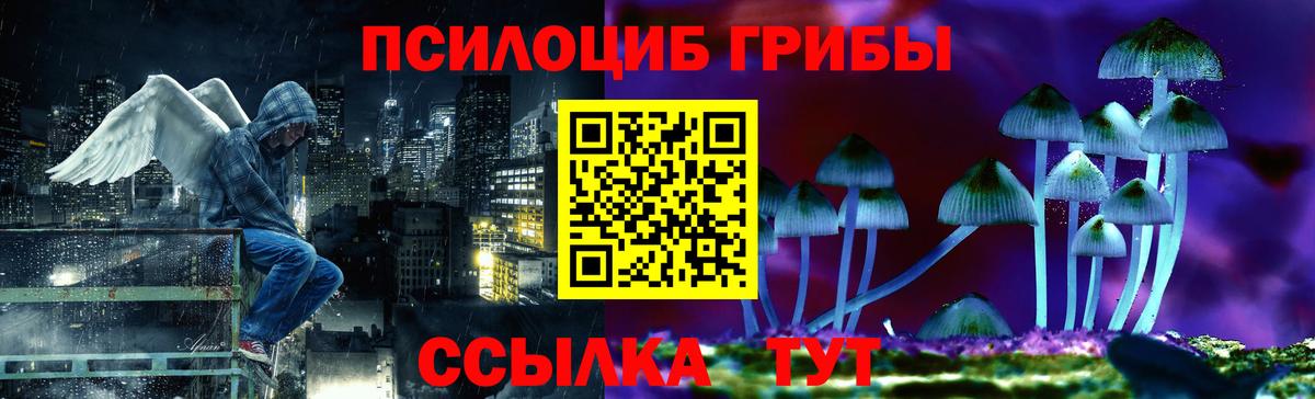 Галлюциногенные грибы Psilocybe  цена наркотик  Киров  Вход с VPN 